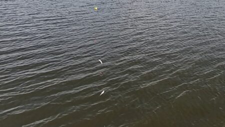 伊庭内湖ホンモロコ釣り